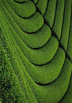 Green art | GANREF