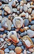Image result for Stepping Stones Very Artistic