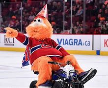 Image result for Montreal Canadiens Mascot