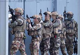 Image result for Army Ranger Wing Ireland