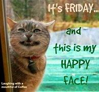 Image result for Friday Morning Cats
