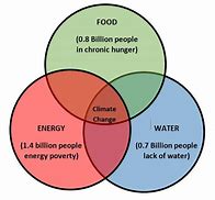 Image result for Water Energy Food Traingle