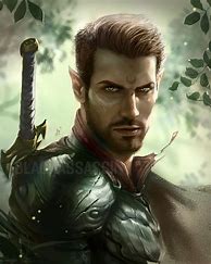 Image result for Elven Male Warrior Elf