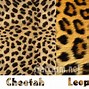 Image result for Leopard Cheetah Animal Print Planner
