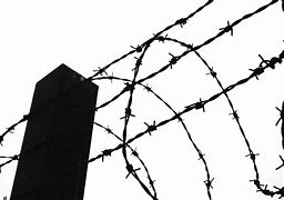 Image result for Barbed Wire Fence Clips