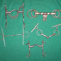 Image result for Different Horse Bits