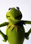 Image result for Kermit the Frog Wit Scrunced HUP Face