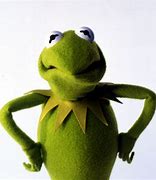 Image result for Kermit the Frog Serious Face