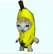 Image result for Banana Cat Text Meme