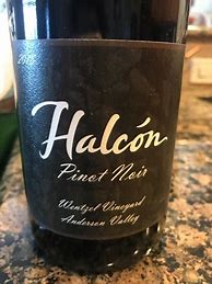 Image result for Halcon Pinot Noir Wentzel