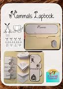 Image result for Mammals Lapbook