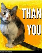 Image result for Thank You Happy Cat Meme