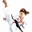 Image result for Adult Martial Arts