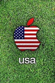 Image result for Apple Store USA