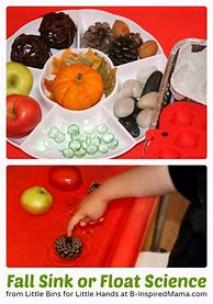 Image result for Fall Kindergarten Science Activities