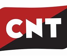 Image result for CNT Logo T-Shirt
