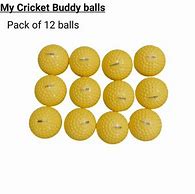 Image result for Cricket Worksheets for Kids