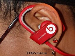 Image result for Beats Ear Plugs