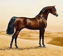 Image result for Colourful Horse Painting