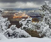 Image result for Arizona Desert Snow