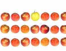Image result for Bing Images of a Row of Apple's