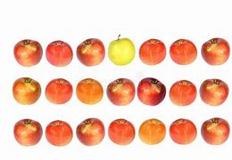 Image result for 12 Apple's in 2 Rows