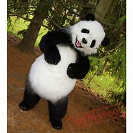 Image result for Panda Mascot
