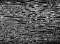 Image result for Gerain Paper Texture