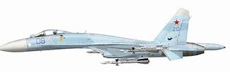 Image result for Su-37 Blue