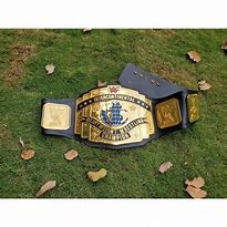 Image result for Cartoon Wrestling Belt