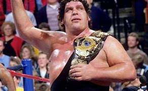 Image result for WWE WWF Wrestlers