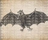 Image result for Vintage Bat Print