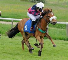 Image result for Pony Racing