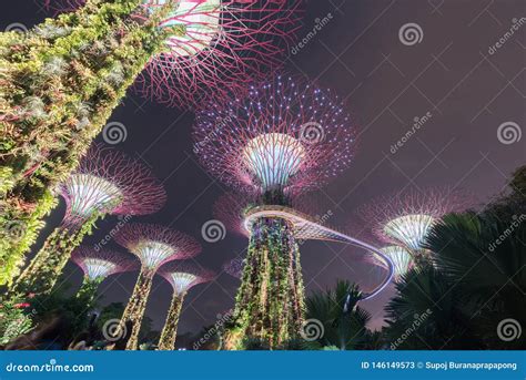 Image result for Algorithm Data Structure Square Avatar