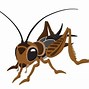 Image result for Cricket Cartoon Insect in a Suit