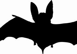 Image result for Bat SVG Free
