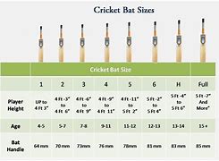 Image result for Cricket Bat Grades