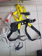 Image result for Body Harness 1 Hook