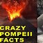 Image result for Pompeii Volcano Eruption Bodies