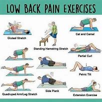 Image result for Low-Impact Lower Back Exercises