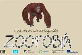 Image result for co_to_znaczy_zoofobia