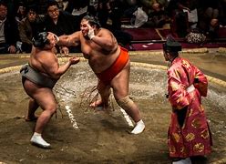 Image result for Sumo Wrestlering Equipment