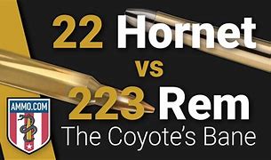 Image result for 22 Hornet vs .223