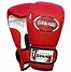 Image result for MMA Fighting Gloves