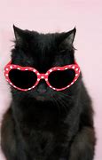 Image result for Cat with Sunglasses and Lettuce