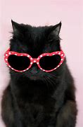 Image result for Cat with Sunglasses Redbubbel Zaparto