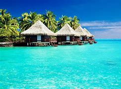 Image result for Tropical Wallpaper 4K