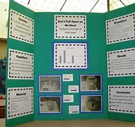Image result for Science Fair Project Display Board Ideas