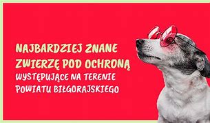 Image result for co_to_za_zwierzęta_gospodarskie
