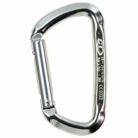 Image result for Red D Carabiner Clip